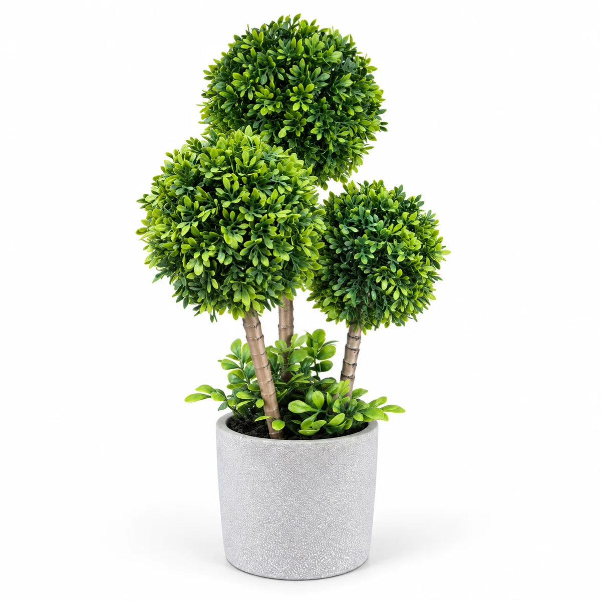 Triple Crown Topiary [50cm]