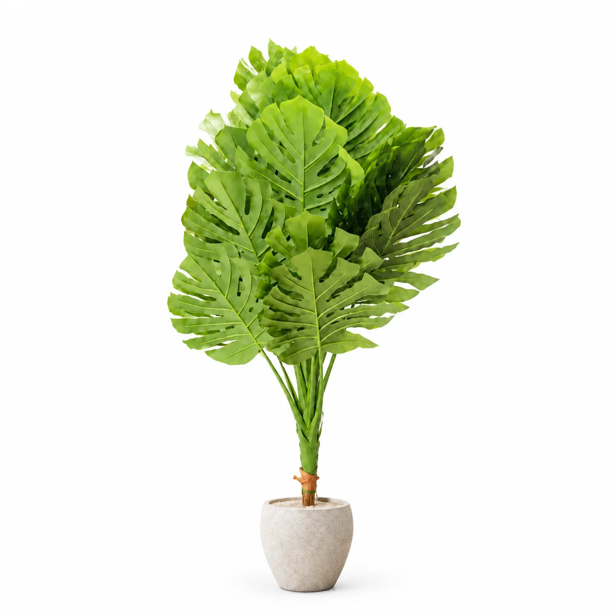Elvora Monstera Luxe